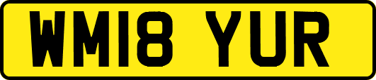 WM18YUR