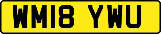 WM18YWU