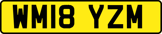 WM18YZM