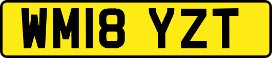 WM18YZT