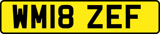 WM18ZEF