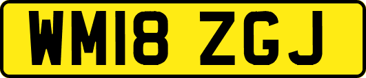 WM18ZGJ