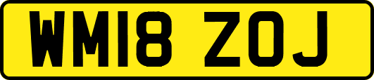 WM18ZOJ