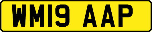 WM19AAP