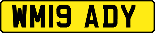 WM19ADY