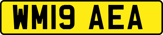 WM19AEA