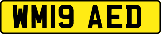 WM19AED