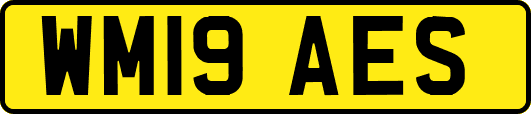 WM19AES