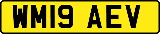 WM19AEV
