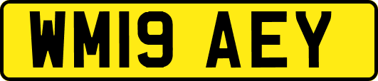 WM19AEY