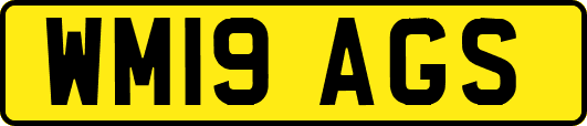 WM19AGS