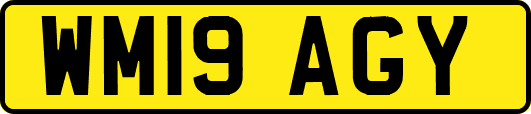 WM19AGY