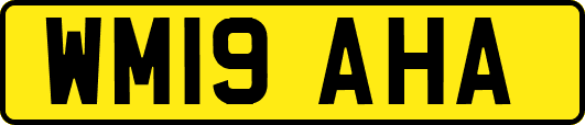 WM19AHA