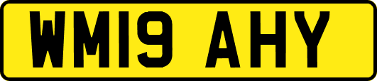 WM19AHY