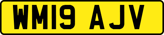 WM19AJV