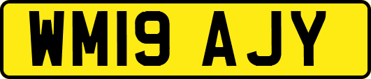 WM19AJY