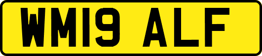 WM19ALF