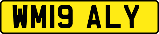 WM19ALY