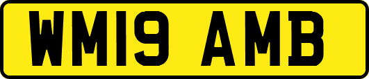 WM19AMB