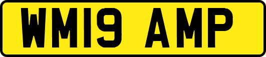 WM19AMP