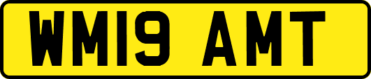 WM19AMT