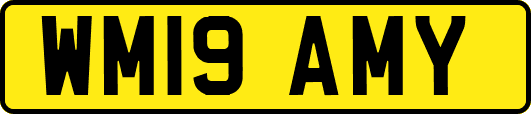 WM19AMY