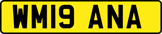 WM19ANA
