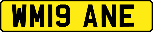 WM19ANE