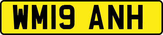 WM19ANH