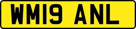 WM19ANL