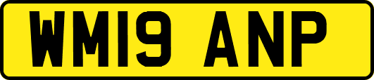 WM19ANP