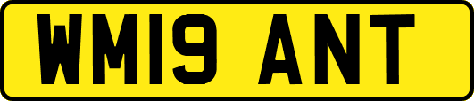 WM19ANT
