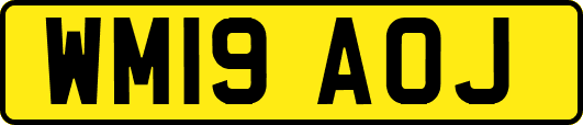 WM19AOJ