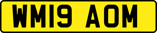WM19AOM
