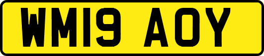 WM19AOY