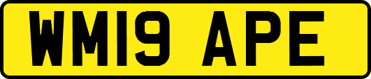 WM19APE