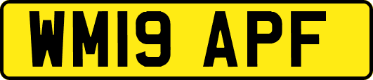 WM19APF