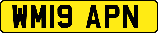 WM19APN