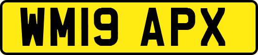 WM19APX