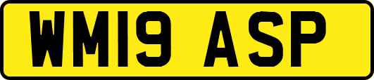WM19ASP