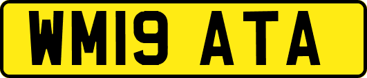 WM19ATA