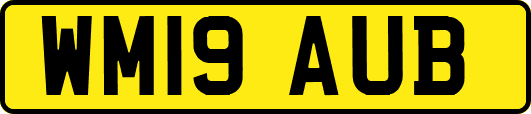 WM19AUB