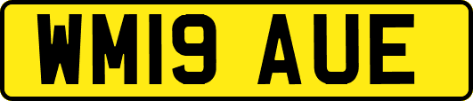 WM19AUE
