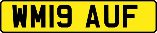 WM19AUF
