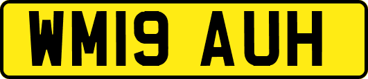 WM19AUH