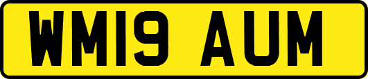 WM19AUM