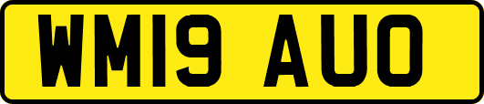 WM19AUO