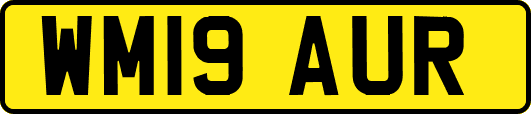 WM19AUR