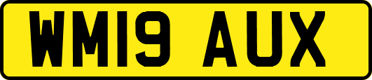 WM19AUX