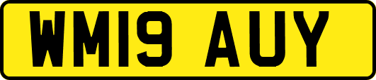 WM19AUY